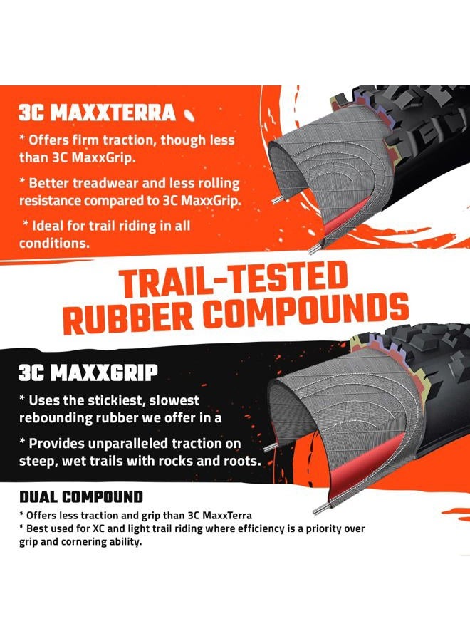 Maxxis إطار أسجاي 29 × 2.50 WT 60 TPI قابل للطي 3C ماكس تيرا EXO/TR 29 × 2.5 بوصة، أسود، TB00163000 - Image 4