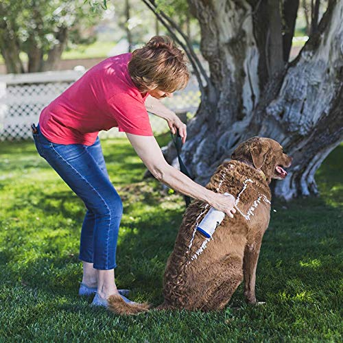 Vetericyn FoamCare Medicated Dog Shampoo - Instant Foaming, Spray-On Hypoallergenic Shampoo, Medicated Formula for Sensitive Skin, Safe for Dogs and Cats. 16 Ounce - Image 4