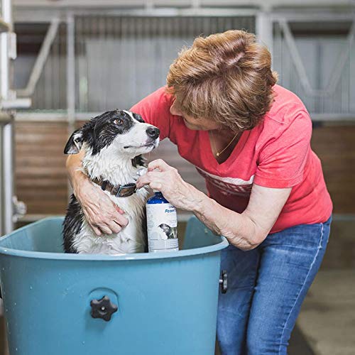 Vetericyn FoamCare Medicated Dog Shampoo - Instant Foaming, Spray-On Hypoallergenic Shampoo, Medicated Formula for Sensitive Skin, Safe for Dogs and Cats. 16 Ounce - Image 3