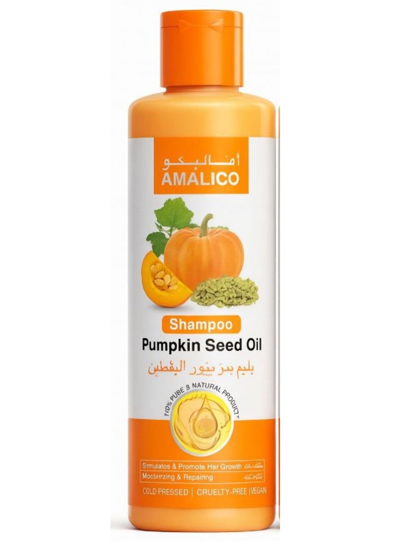 AMALICO Pumpkin Seed Oil Shampoo  500 ML