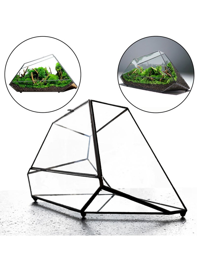 حوض تيراريوم بالوداريوم - Image 1