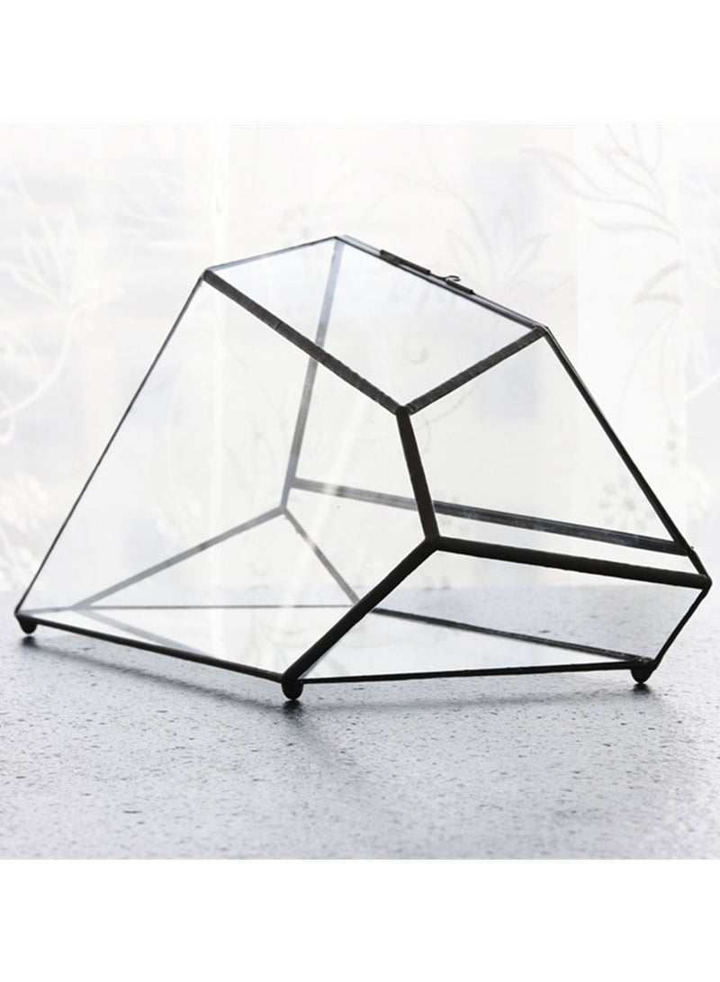 حوض تيراريوم بالوداريوم - Image 3