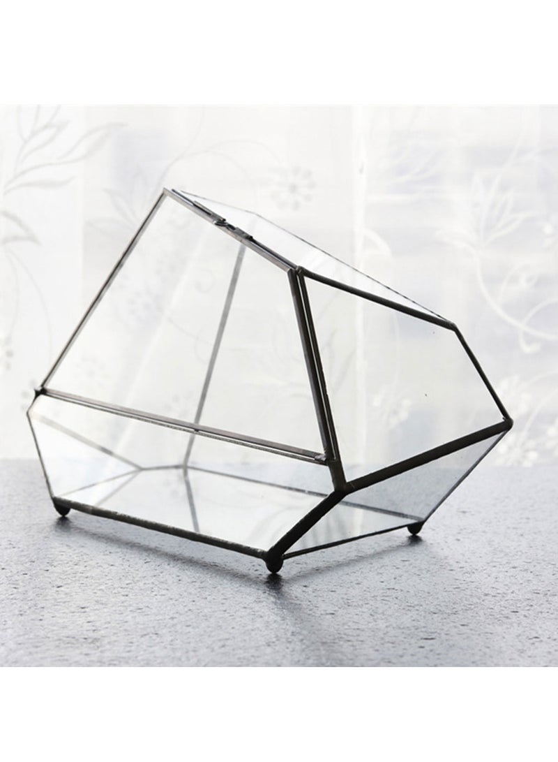 حوض تيراريوم بالوداريوم - Image 2