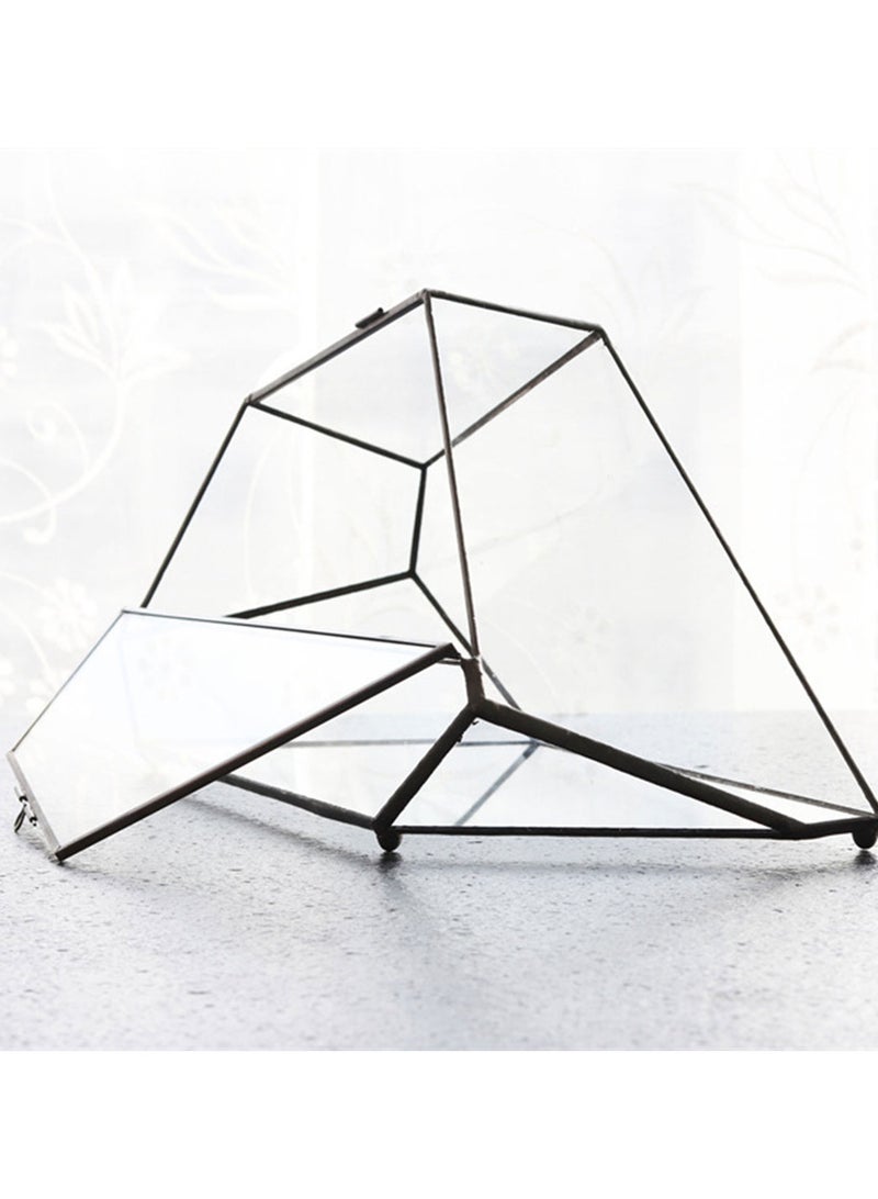 حوض تيراريوم بالوداريوم - Image 4