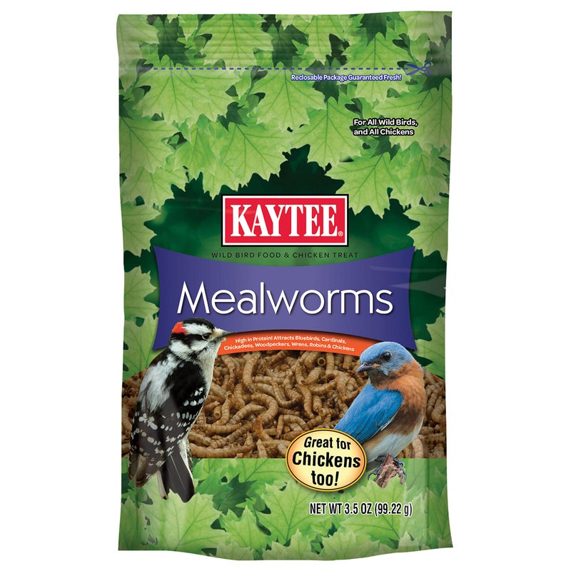 Kaytee Wild Bird Food Mealworms For Bluebirds, Wrens, Robins, Chickadees, Woodpeckers, Cardinals & Chickens, 3.5 Ounce - Image 1
