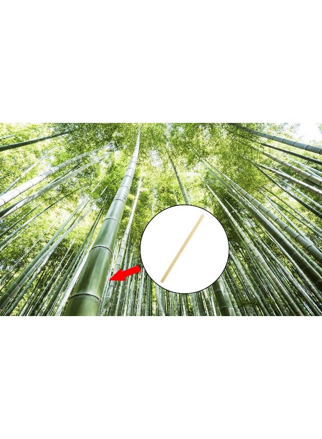 Mini Skater 54 Inch Bamboo Coffee Stirrers Eco Friendly Biodegradable Stir Sticks for Tea Hot Cold Beverages 100 - Image 5