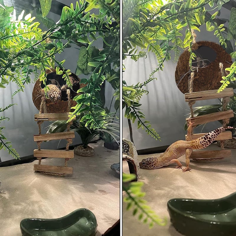 MUYG 6PCS Crested Gecko Coconut Hut, Lizard Coco Den with Ladder and Reptile Hammock Bearded Dragon Tank Accessories Climbing Hanging Plants Jungle Vine Flexible Reptile Leaves Decor - Image 2