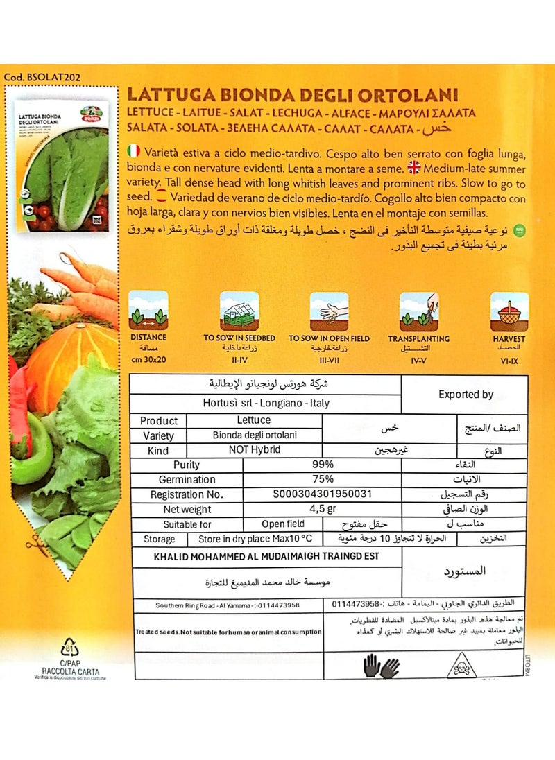 ZORZI - Lettuce Seeds - Image 1