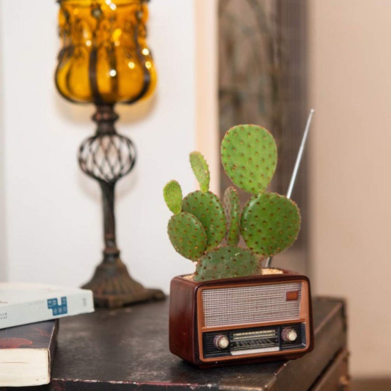 BESTOYARD Retro Creative Radio Shape Flower Pot Retro Flowerpot Succulent Flower Plant Container Desk Flower Pot Cactus Plant Pot - Image 2
