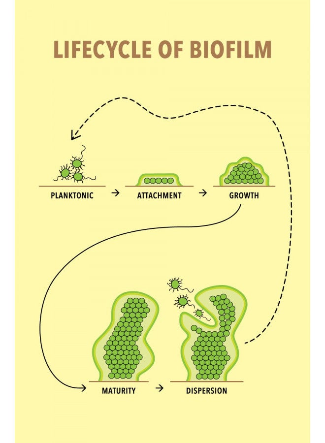 Pristine H2OK Water Cooler Cleaner - Image 4