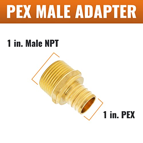 SUNGATOR 6-Pack PEX 1" x 1" NPT Male Threaded Adapter Crimp Fitting, No Lead Brass - Image 2