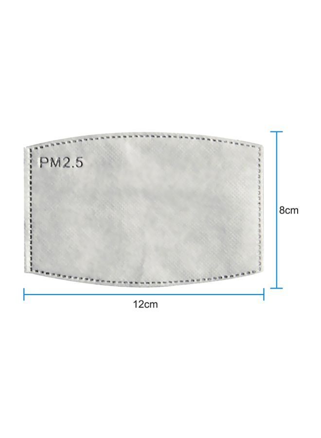 NIBEMINENT Anti-Dust Mask - Image 2