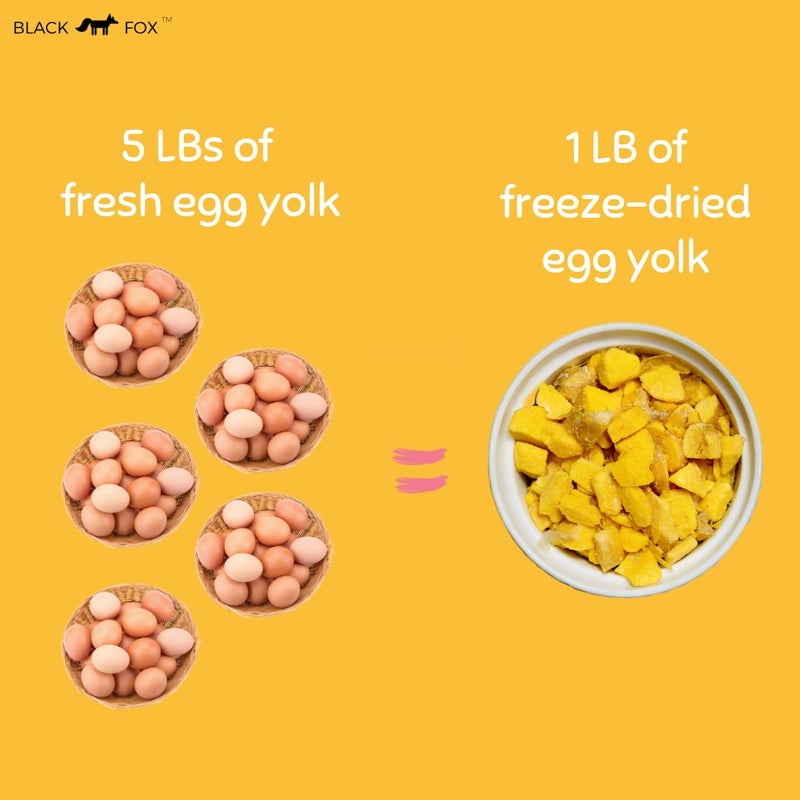 BLACK FOX Freeze-Dried Chicken Egg Yolk Dog Treats | Topper | Cat Treats | 4oz Single Ingredient, Raw, Healthy, All Natural, Human Grade, Digestion & Hairball Control - Image 4
