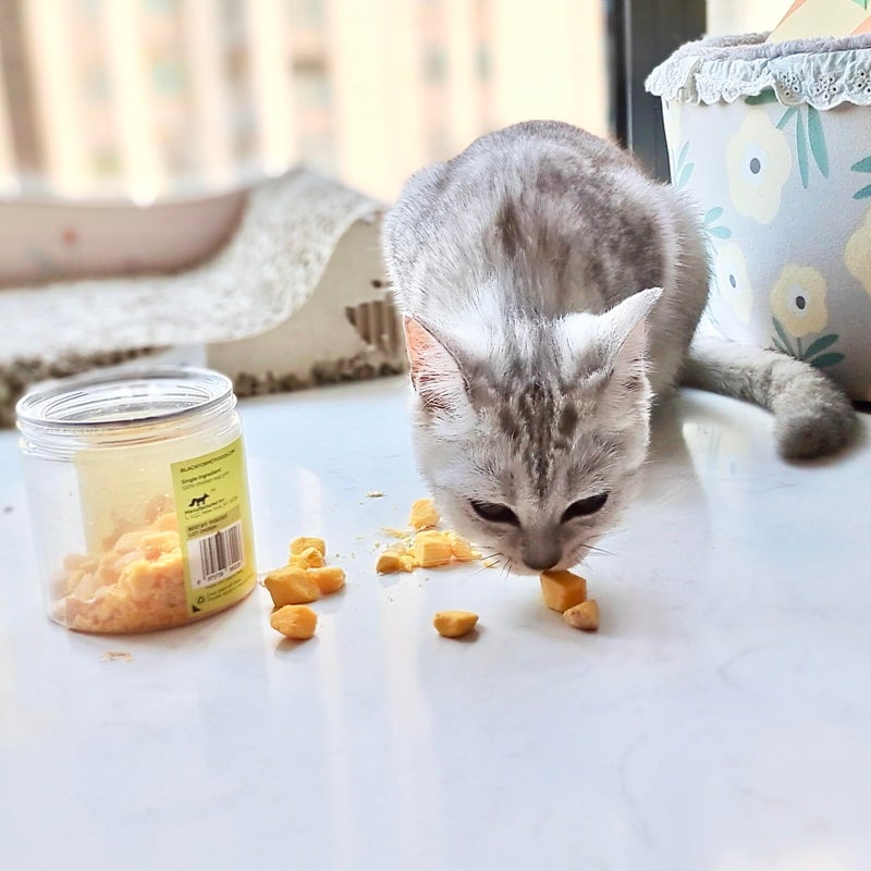 BLACK FOX Freeze-Dried Chicken Egg Yolk Dog Treats | Topper | Cat Treats | 4oz Single Ingredient, Raw, Healthy, All Natural, Human Grade, Digestion & Hairball Control - Image 5