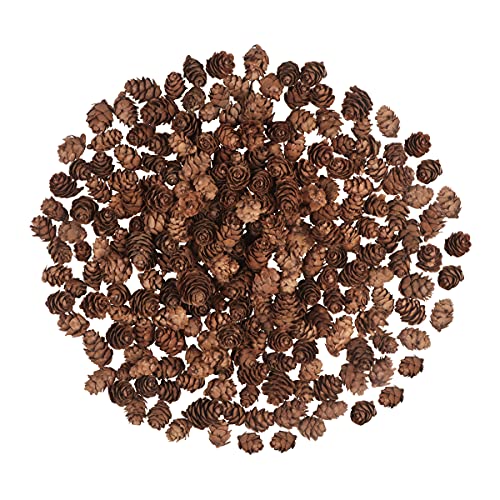 Fangoo 200PCS Christmas Natural Pine Cones Mini Fall Decorations Pinecones Ornaments Bulk Small Pine Cones for DIY Crafts Thanksgiving Fall Winter Christmas Wedding Decor Vase Filler Decor - Image 1
