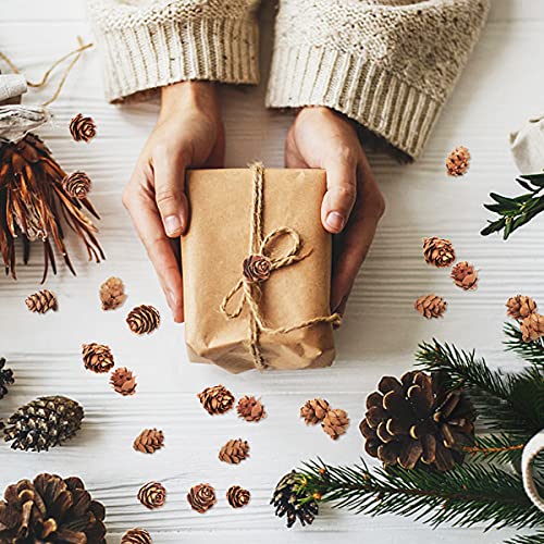 Fangoo 200PCS Christmas Natural Pine Cones Mini Fall Decorations Pinecones Ornaments Bulk Small Pine Cones for DIY Crafts Thanksgiving Fall Winter Christmas Wedding Decor Vase Filler Decor - Image 4