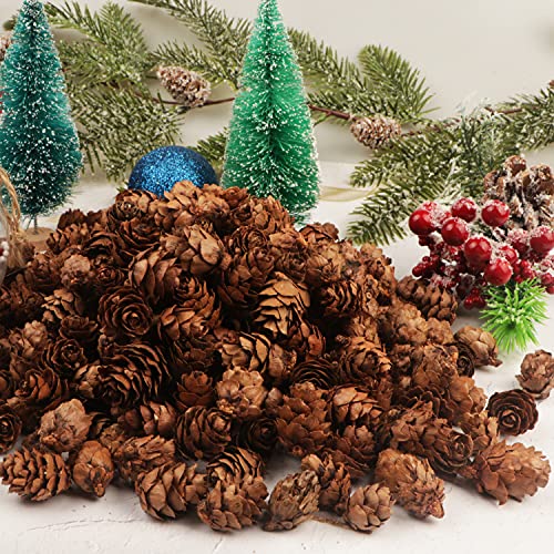 Fangoo 200PCS Christmas Natural Pine Cones Mini Fall Decorations Pinecones Ornaments Bulk Small Pine Cones for DIY Crafts Thanksgiving Fall Winter Christmas Wedding Decor Vase Filler Decor - Image 3