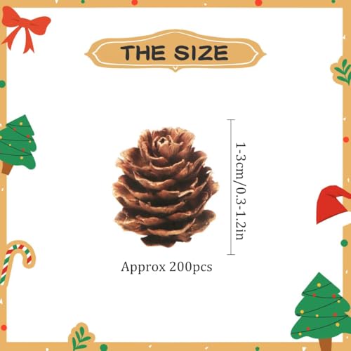 Fangoo 200PCS Christmas Natural Pine Cones Mini Fall Decorations Pinecones Ornaments Bulk Small Pine Cones for DIY Crafts Thanksgiving Fall Winter Christmas Wedding Decor Vase Filler Decor - Image 2