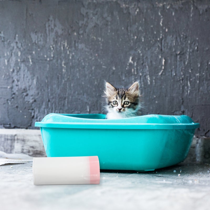 10pcs Disposable Cat Litter Bags Drawstring Litter Bags Pet Cat Supplies for Home Shop Assorted style - Image 4