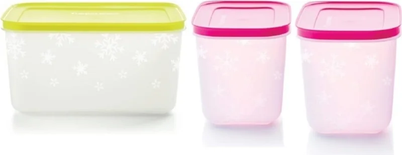 توبروير Alaska Set 2.5 Lt-1.1 Lt Freezer Storage Container