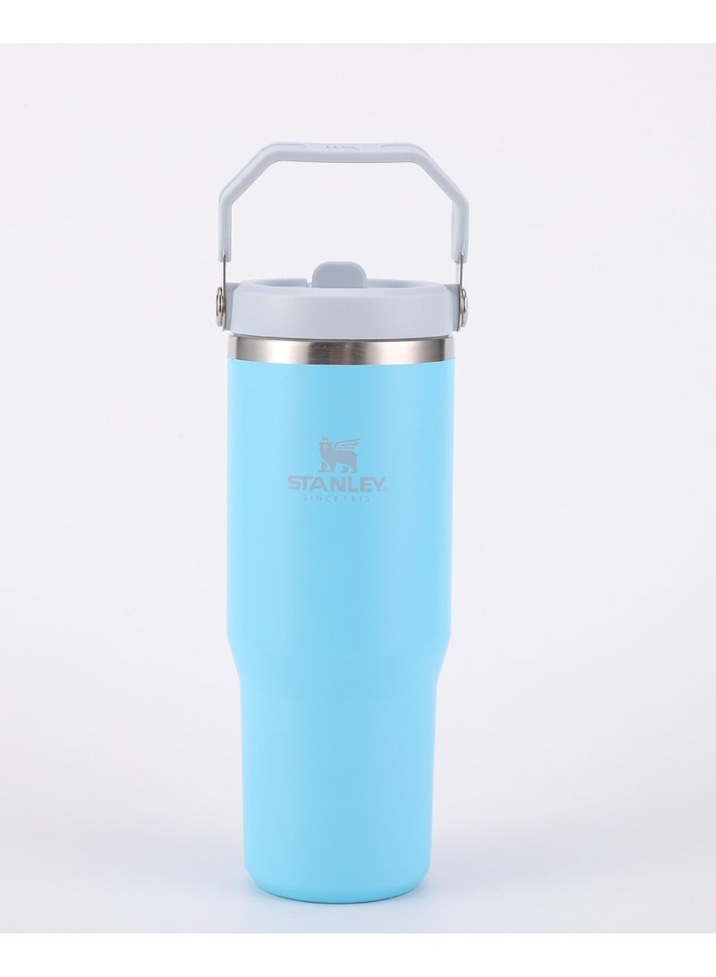 Stanley IceFlow Stainless Steel Tumbler - Vacuum Insulated Water Bottle for Home, Office or Car Reusable Cup with Straw Leak Resistant Flip Cold for 12 Hours or Iced for 2 Days, 30oz