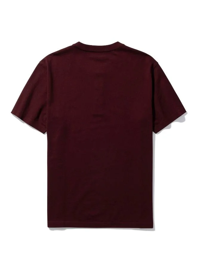 American Eagle Essential Henley T-shirt