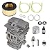 YSMN Cylinder Piston Kit 44MM Bore Replacement for Stihl MS251 MS 251 Chainsaws 1143-020-1207 11430201207 - Image 2