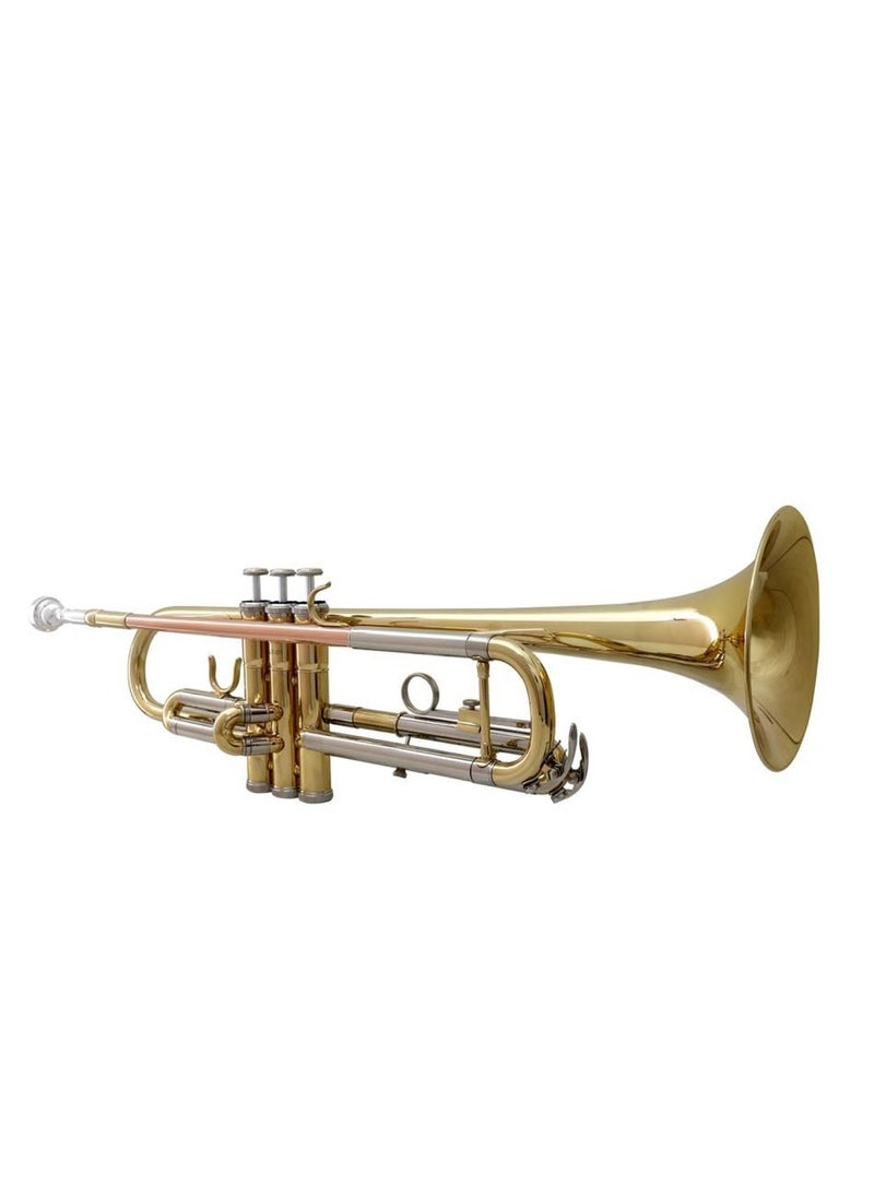 AJ Music Professional Trumpet B flat  - Image 5