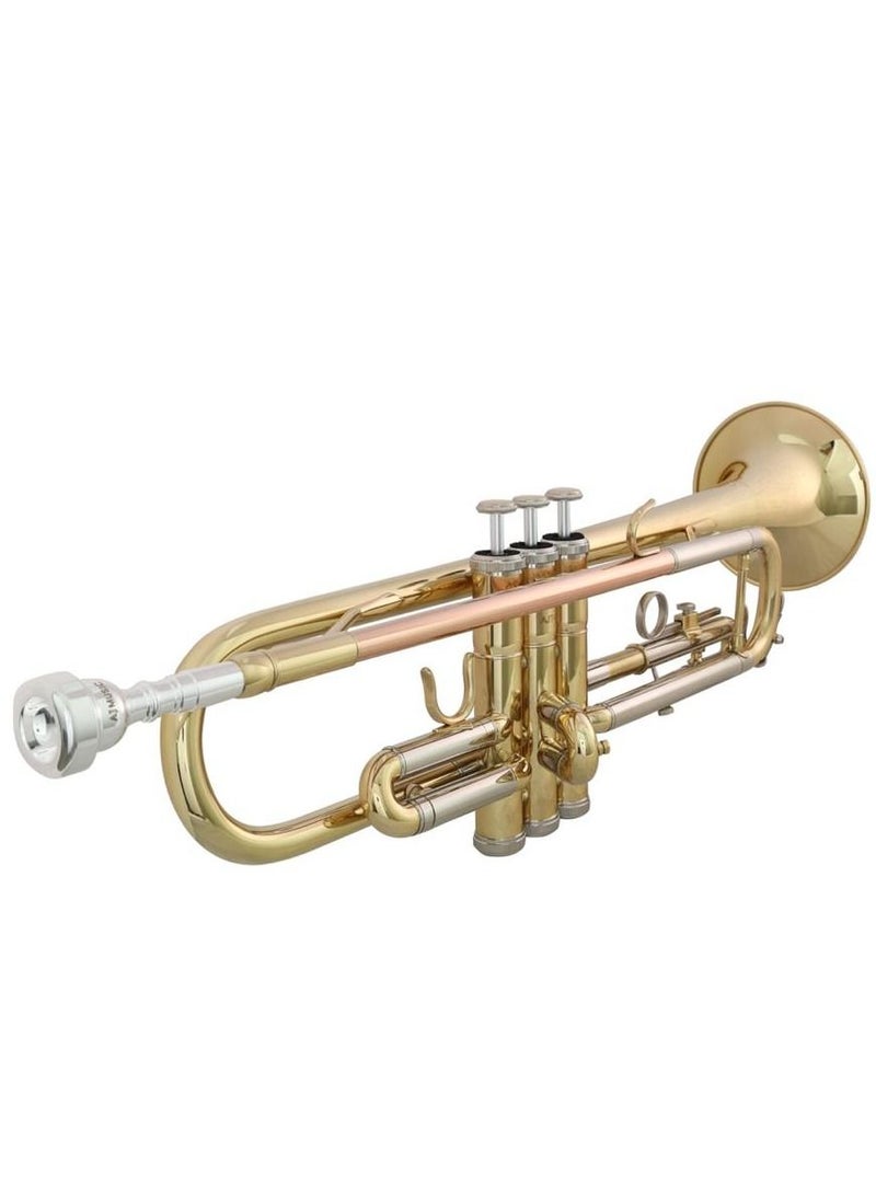 Professional Trumpet B flat - pzsku/Z1FCE85DA2ED3D9C7B3D6Z/45/_/1690030196/6f1cd231-c8bf-497a-bb4e-4879e78e8b68