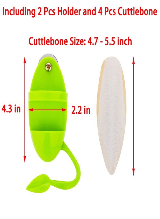 DQITJ 2 Pcs Cuttlebone Holder for Bird Cage - Bowl Stand Food Holder with 4 Pcs Cuttlebone for Parrot, Budgie, Conure (4.7-5.5 inch) - Image 4