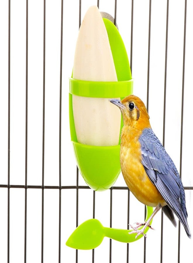 DQITJ 2 Pcs Cuttlebone Holder for Bird Cage - Bowl Stand Food Holder with 4 Pcs Cuttlebone for Parrot, Budgie, Conure (4.7-5.5 inch) - Image 2