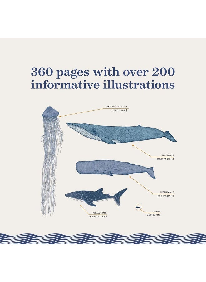 The Ocean: The Ultimate Handbook of Nautical Knowledge - Image 3