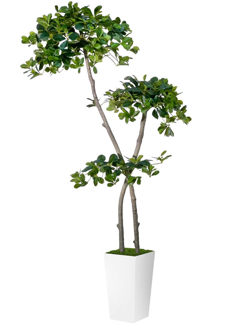 MirageBotanics 150cm Tall Artificial Black Olive Tree with 959 Lifelike Leaves, Fake Plant in White Tall Planters, Faux Olive Tree with 2 Poles for Living Room Office Garden Decor - Image 1