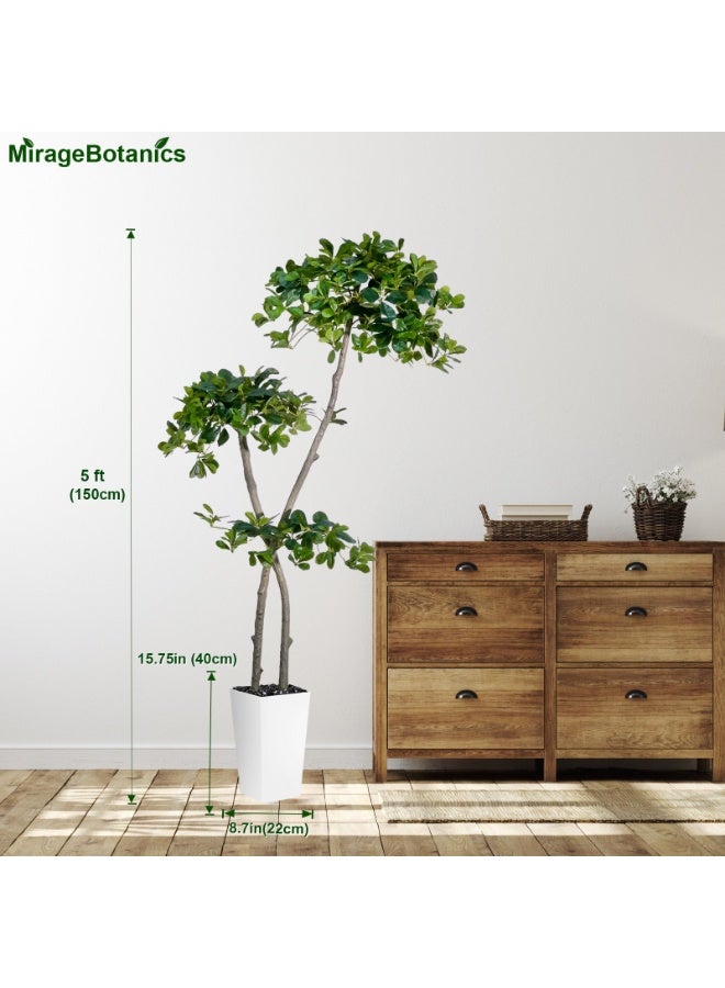MirageBotanics 150cm Tall Artificial Black Olive Tree with 959 Lifelike Leaves, Fake Plant in White Tall Planters, Faux Olive Tree with 2 Poles for Living Room Office Garden Decor - Image 3