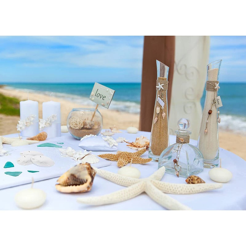 Nautical Crush Trading Real Finger Starfish & Sand Dollar Decor - 3 White Starfish 4-6" and 3 Sand Dollars 3-3.5" - Sea Stars - Beach Wedding Decor - Coastal Party Decorations - Shells for Crafts - Image 4