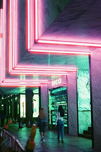 RETO Amber 800 35mm Color Negative Cine Film, 27 Exposures, ISO800, 135, Cinematic, Motion Picture Style - Image 4