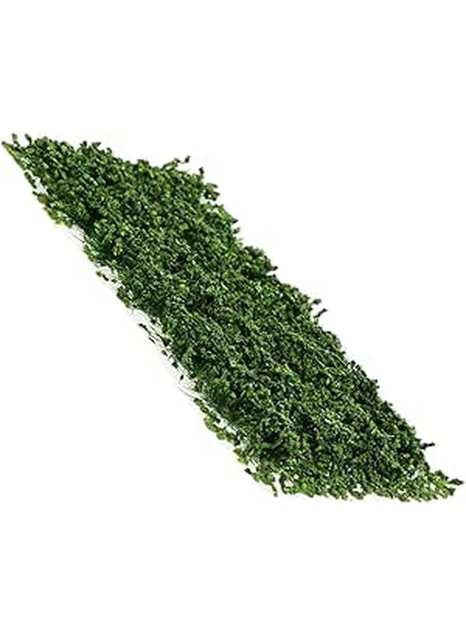 Static Grass Model Kit Green Miniature Landscaping DIY Diorama Railway Sand Table - Image 1
