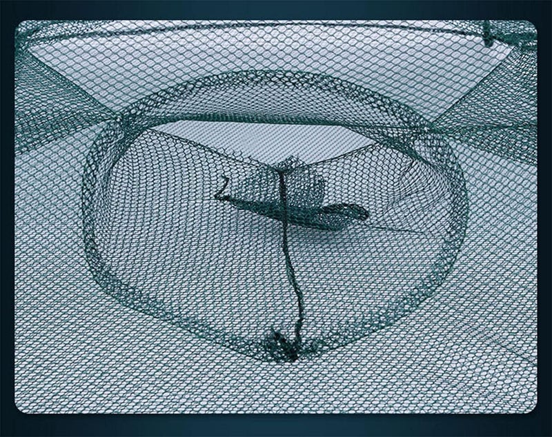 PuDong 2 Pack Crawfish Trap，Crab Fish Trap,Foldable Fishing Bait Trap Cast Net Cage with 18 Feets Nylon Rope for Catching Small Bait Fish Eels Crab Lobster Minnows Shrimp 2 Pack - Image 4
