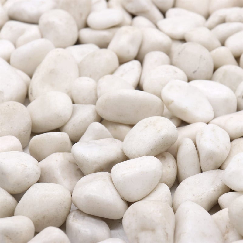 Premium Pebbles White Rocks for Plants. White Decorative Polished Pebbles. 1 to 2 Inch â€“ 10lbs for Plants, Garden, Succulents, pots, Plants (MD (1 to 2 Inch), White - Lightly Polished, 10) - Image 1