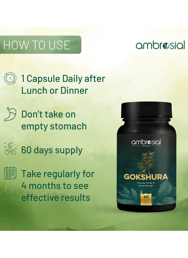 ambrosial - Gokshura Tribulus Terrestris High Strength 500 Mg Per Capsule Herbal Supplement For Energy And Immunity 60 Capsules - Image 1