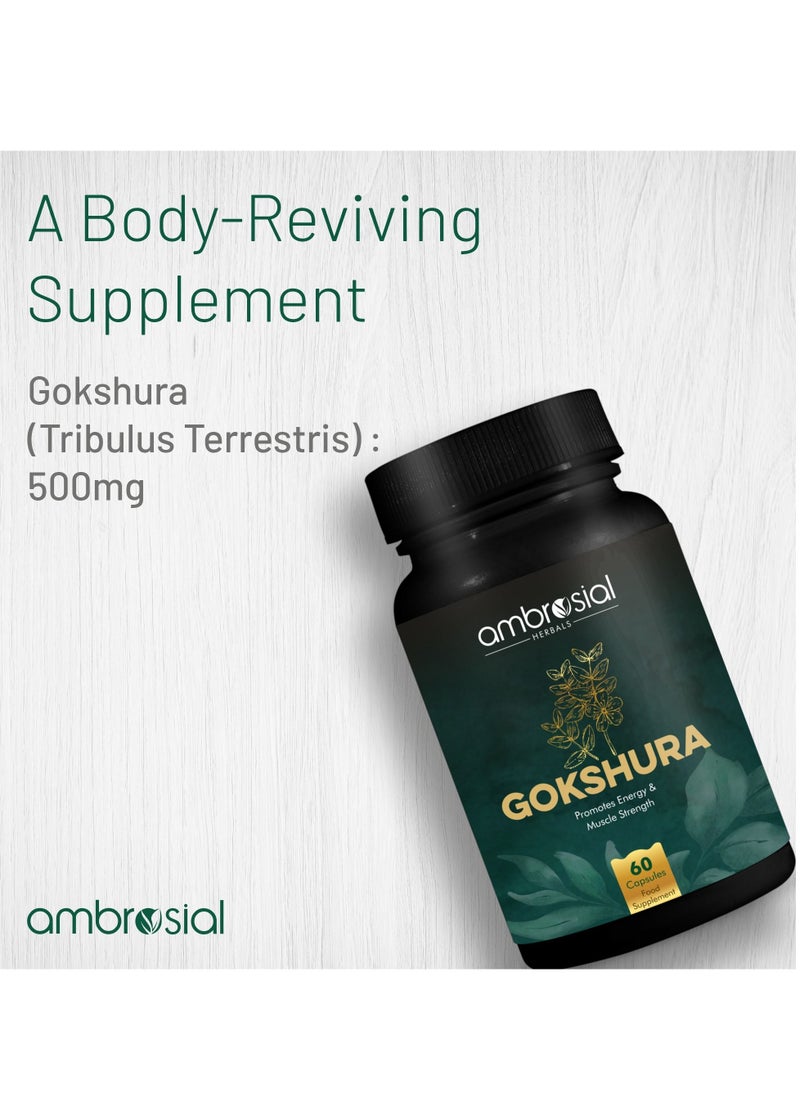 ambrosial - Gokshura Tribulus Terrestris High Strength 500 Mg Per Capsule Herbal Supplement For Energy And Immunity 60 Capsules - Image 1