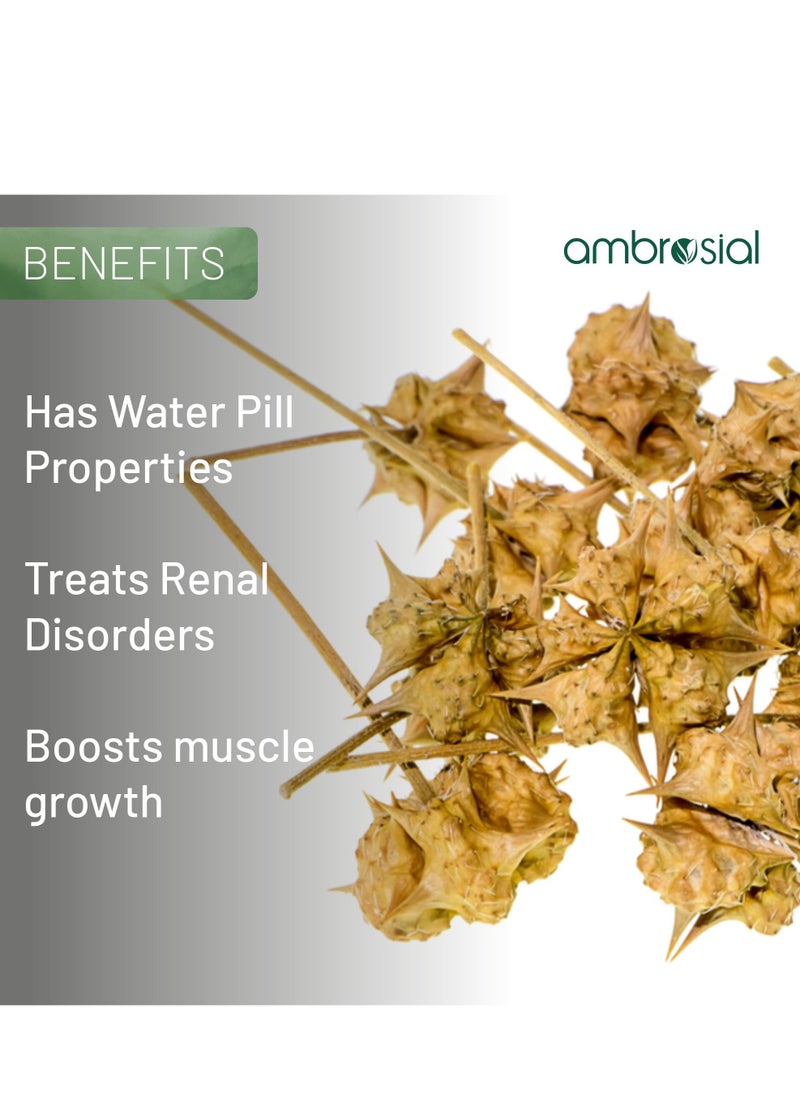 ambrosial - Gokshura Tribulus Terrestris High Strength 500 Mg Per Capsule Herbal Supplement For Energy And Immunity 60 Capsules - Image 1