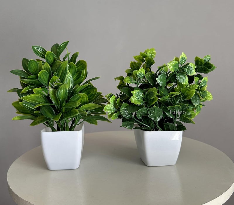 Litleo plastic Artificial Plants Mini Fake Potted Plants, Small Eucalyptus Potted Faux Decorative Grass Plant with White Pot for Home Decor, Indoor, Office, Desk, Shelf, Table Decoration (Pack of 2) - Image 5
