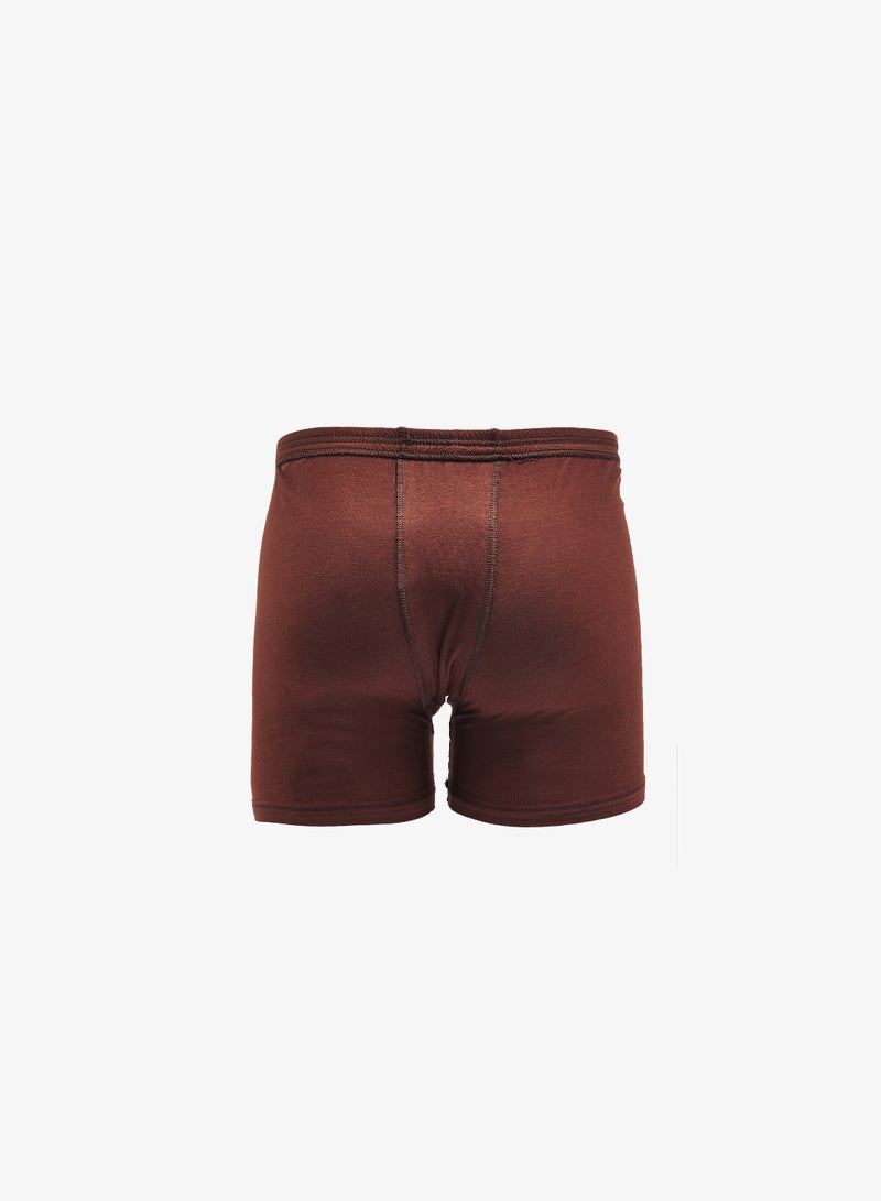 Seventy Five Basics Rupa Pack of 3 Boxers - Image 5