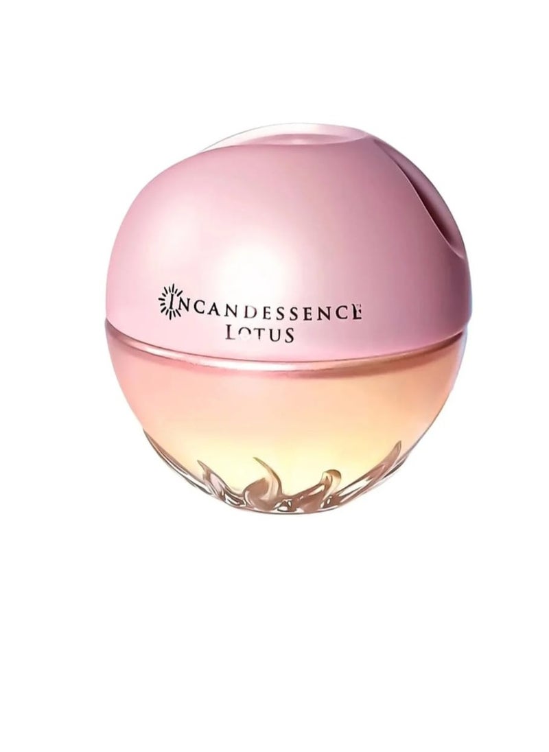 AVON Bundles perfume set of 3 pieces  - Image 2