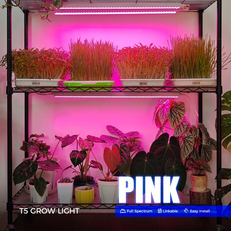 Barrina T5 Grow Lights, Full Spectrum, 2ft 80W (8 x 10W, 500W Equivalent), T5 LED Grow Light Bulbs, Plant Lights for Indoor Plants, Greenhouse, Plug and Play, Pink, 8-Pack - Image 1