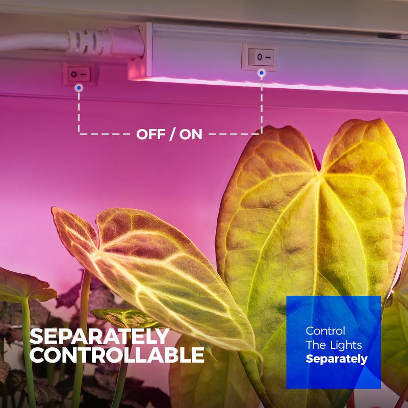 Barrina T5 Grow Lights, Full Spectrum, 2ft 80W (8 x 10W, 500W Equivalent), T5 LED Grow Light Bulbs, Plant Lights for Indoor Plants, Greenhouse, Plug and Play, Pink, 8-Pack - Image 4