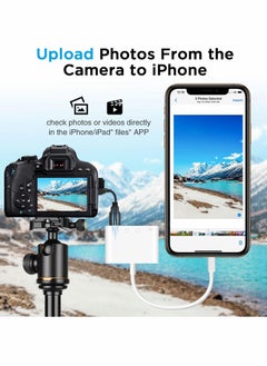Excefore SD Card Reader for iPhone iPad, Portable USB Camera Adapter 3 in 1 USB Female OTG Adapter Compatible SD/TF Card  - Image 4