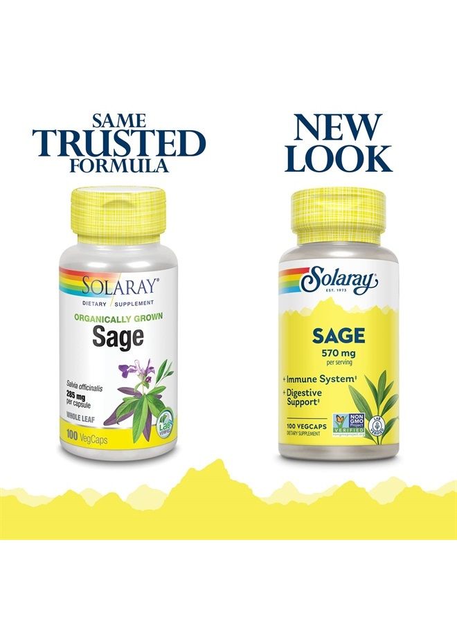 Solaray Sage Leaf | 570mg per Serving | Healthy Body Odor & Perspiration, Immune Function, and Nervous & Digestive System Support | 100 VegCaps  - Image 2