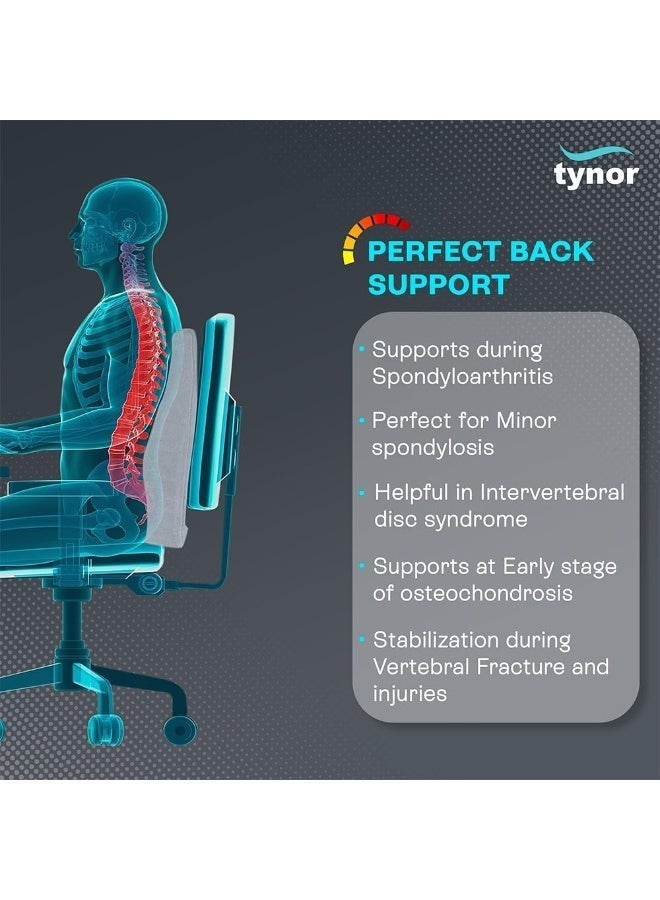 تاينور مسند ظهر كامل من Tynor، رمادي، مقاس موحد، قطعة واحدة - Image 3
